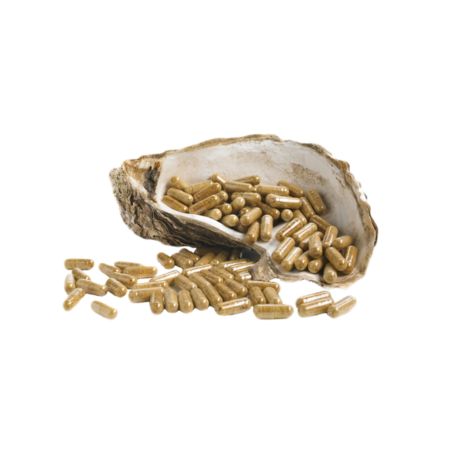 OysterMax